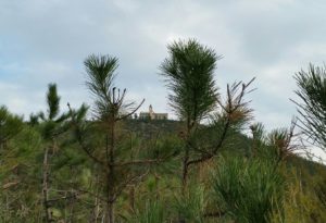 img-20161103-wa0011