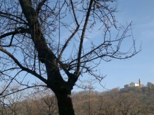 img-20161210-wa0003-2