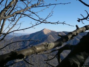 IMG-20170128-WA0005